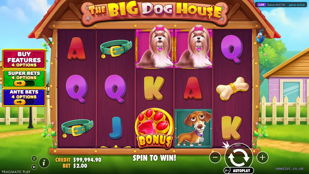 The Big Dog House reels in motion